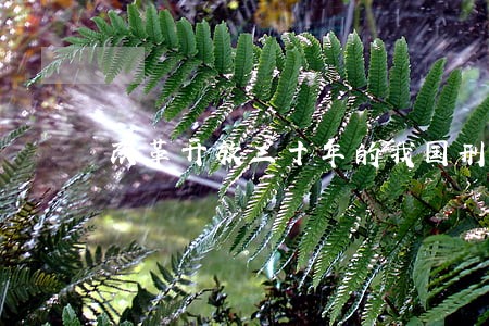 改革开放三十年的我国刑法立法 改革开放三十年的我国刑法立法