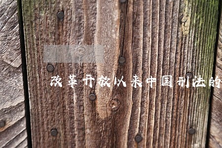 改革开放以来中国刑法的发展 改革开放以来中国刑法的发展