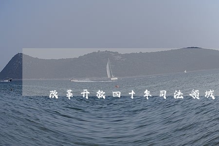 改革开放四十年司法领域