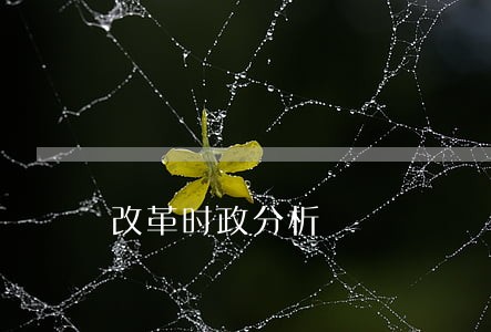 改革时政分析 改革时政分析