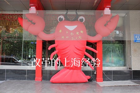 改革的上海经验 改革的上海经验