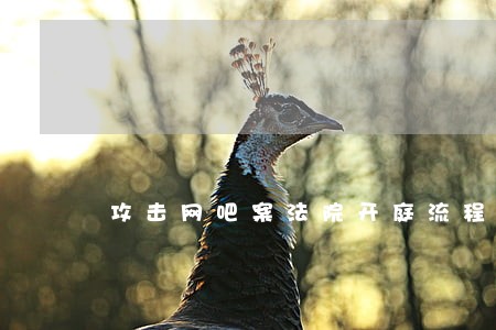 攻击网吧案法院开庭流程