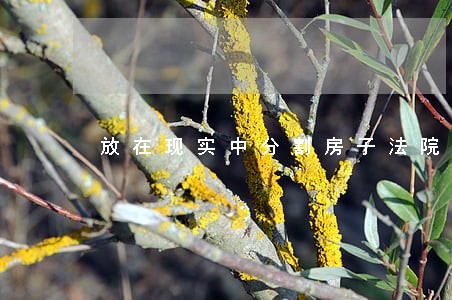 放在现实中分割房子法院怎么判 放在现实中分割房子法院怎么判