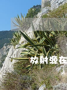 放射源在线监控法规