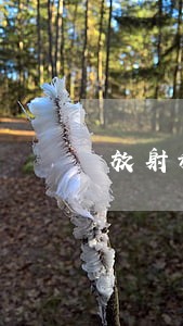 放射科法律法规培训制度
