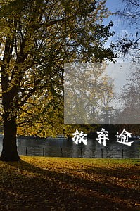 放弃逾期付款利息 放弃逾期付款利息