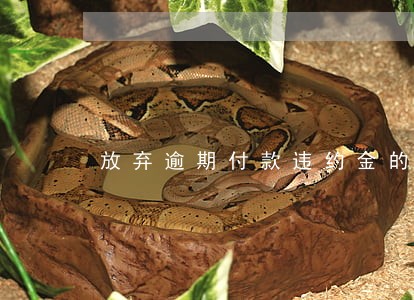 放弃逾期付款违约金的承诺 放弃逾期付款违约金的承诺