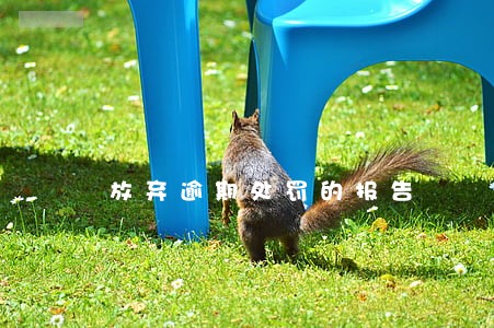 放弃逾期处罚的报告 放弃逾期处罚的报告