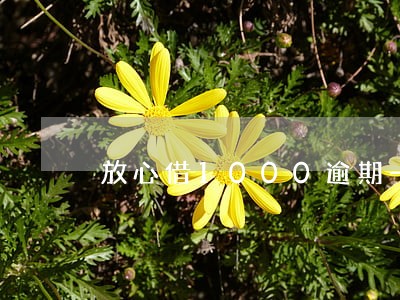 放心借1000逾期一天罚息多少
