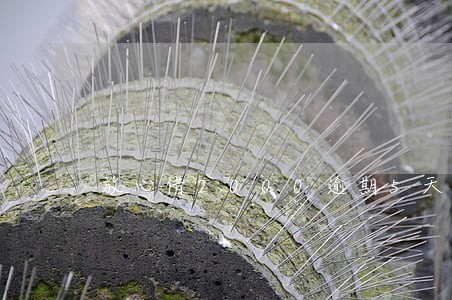 放心借2000逾期5天有记录吗 放心借2000逾期5天有记录吗