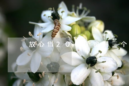 放心借2000逾期三个月 放心借2000逾期三个月