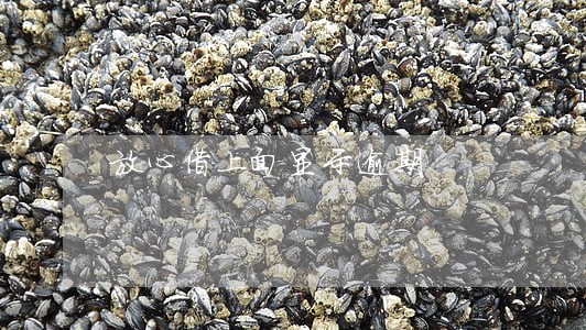 放心借上面显示逾期 放心借上面显示逾期