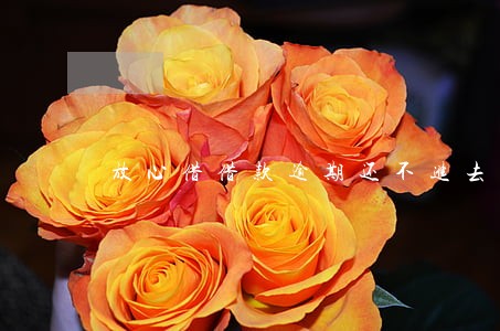 放心借借款逾期还不进去怎么办 放心借借款逾期还不进去怎么办