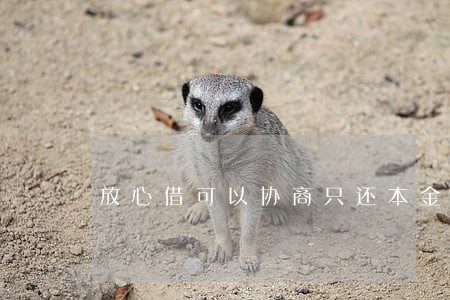 放心借可以协商只还本金么 放心借可以协商只还本金么