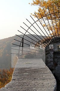 放心借可以逾期多长时间 放心借可以逾期多长时间