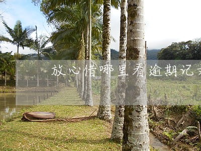放心借哪里看逾期记录 放心借哪里看逾期记录