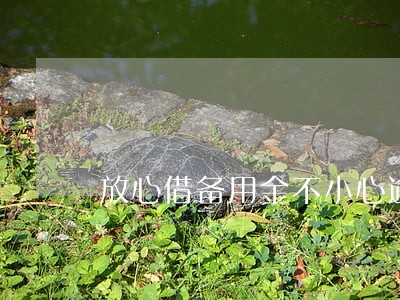放心借备用金不小心逾期一天 放心借备用金不小心逾期一天