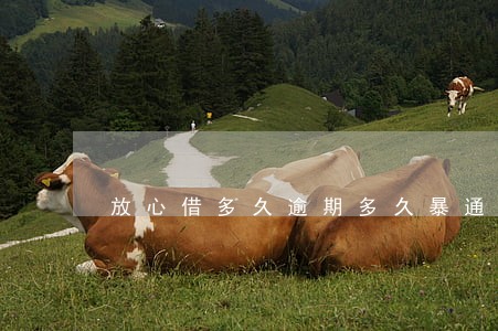 放心借多久逾期多久暴通讯录 放心借多久逾期多久暴通讯录