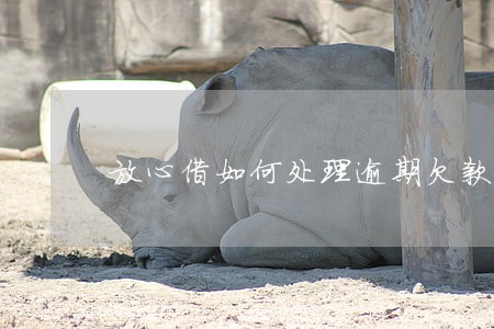 放心借如何处理逾期欠款 放心借如何处理逾期欠款