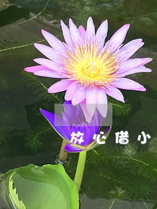 放心借小额逾期 放心借小额逾期