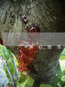 放心借当天扣款失败会逾期吗 放心借当天扣款失败会逾期吗