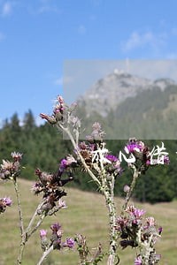 放心借扣款失败显示逾期 放心借扣款失败显示逾期