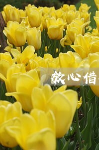 放心借扣款日当天几点算逾期 放心借扣款日当天几点算逾期
