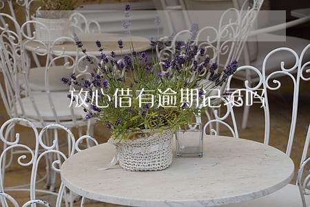 放心借有逾期记录吗