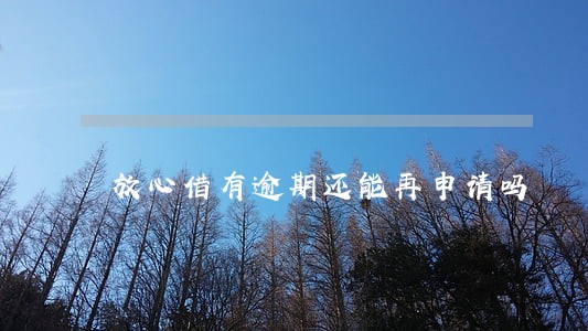 放心借有逾期还能再申请吗 放心借有逾期还能再申请吗
