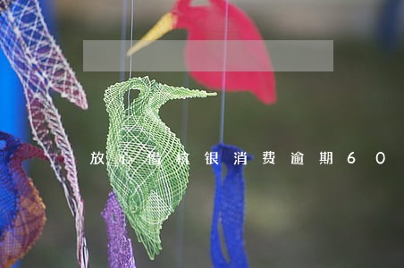 放心借杭银消费逾期60天 放心借杭银消费逾期60天