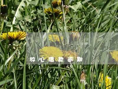 放心借款逾期 放心借款逾期