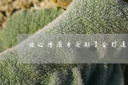 放心借没有逾期了会打通讯录吗 放心借没有逾期了会打通讯录吗