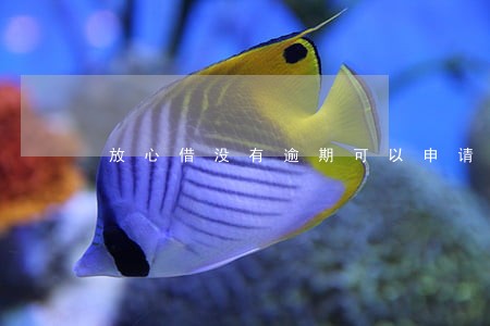 放心借没有逾期可以申请吗 放心借没有逾期可以申请吗