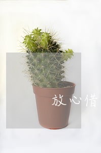 放心借还款有逾期记录 放心借还款有逾期记录