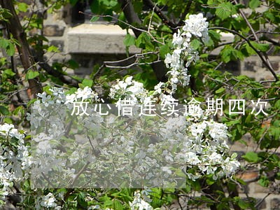 放心借连续逾期四次 放心借连续逾期四次