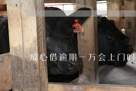 放心借逾期一万会上门吗 放心借逾期一万会上门吗