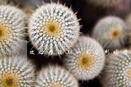 放心借逾期一天会影响借款吗 放心借逾期一天会影响借款吗