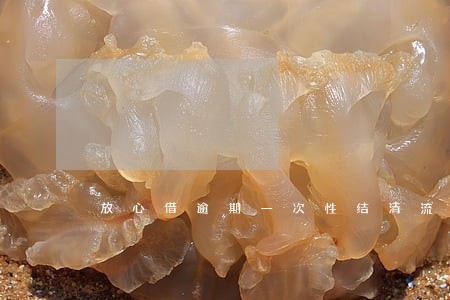 放心借逾期一次性结清流程 放心借逾期一次性结清流程