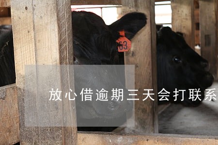 放心借逾期三天会打联系 放心借逾期三天会打联系