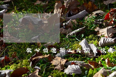 放心借逾期三天额度恢复借不了 放心借逾期三天额度恢复借不了