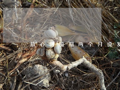 放心借逾期两个月说发诉讼书 放心借逾期两个月说发诉讼书