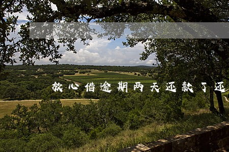 放心借逾期两天还款了还能借吗 放心借逾期两天还款了还能借吗
