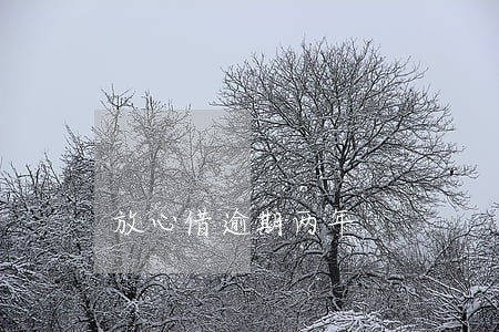 放心借逾期两年 放心借逾期两年