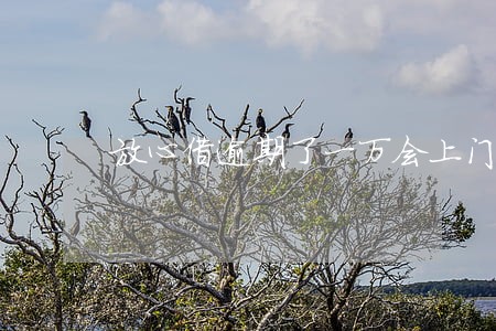 放心借逾期了一万会上门么 放心借逾期了一万会上门么