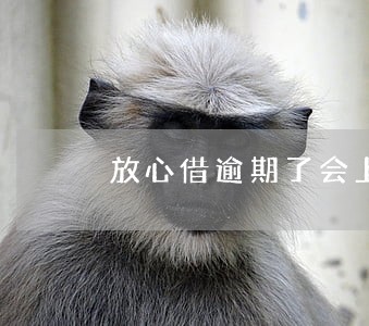 放心借逾期了会上门催款吗 放心借逾期了会上门催款吗