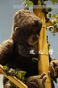放心借逾期了半个月 放心借逾期了半个月