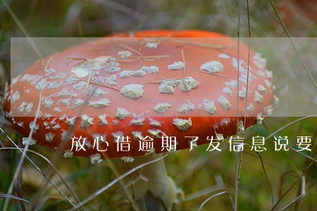 放心借逾期了发信息说要上诉 放心借逾期了发信息说要上诉