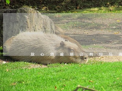 放心借逾期会有短信通知吗 放心借逾期会有短信通知吗