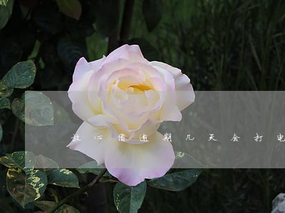 放心借逾期几天会打电话