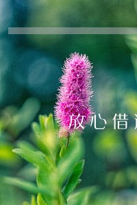 放心借逾期几天没事了 放心借逾期几天没事了